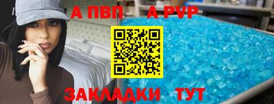 мдпв Кингисепп