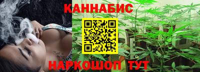 мдпв Кингисепп