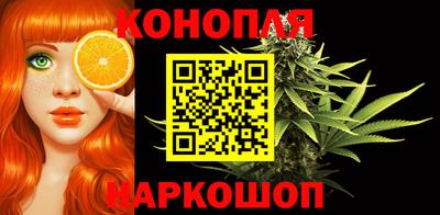 мдпв Кингисепп