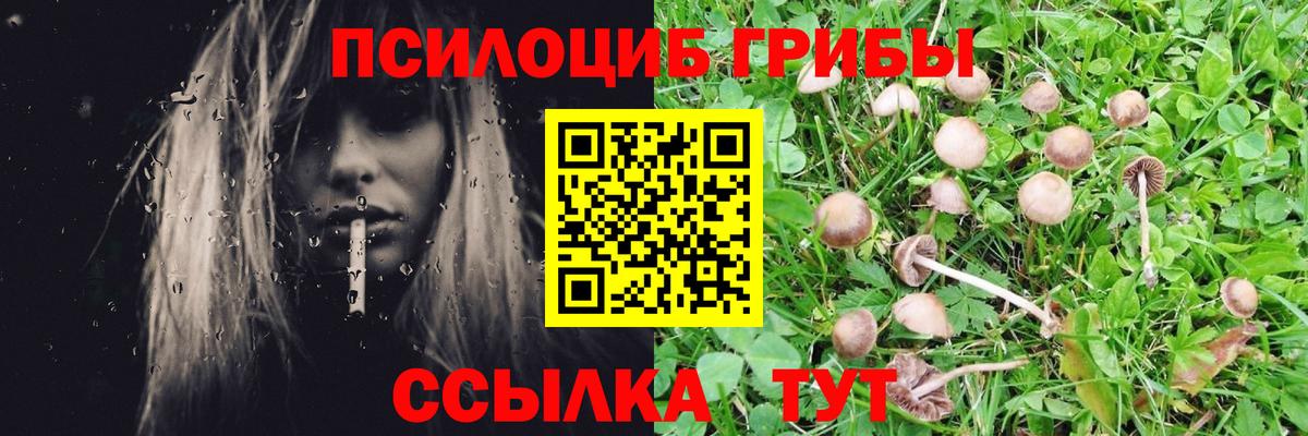 купить наркотик  Вход с VPN  Костомукша  Галлюциногенные грибы GOLDEN TEACHER 
